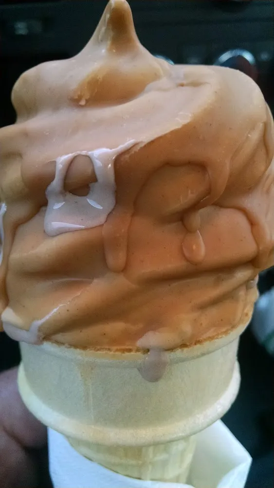 Peanut Butter Dipped Cone